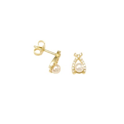 Earrings in Gold K9 SKG8484
